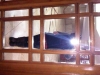 img00842-20091225-1007