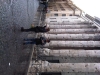 img01035-20091229-1425