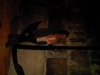 img01379-20100405-1337